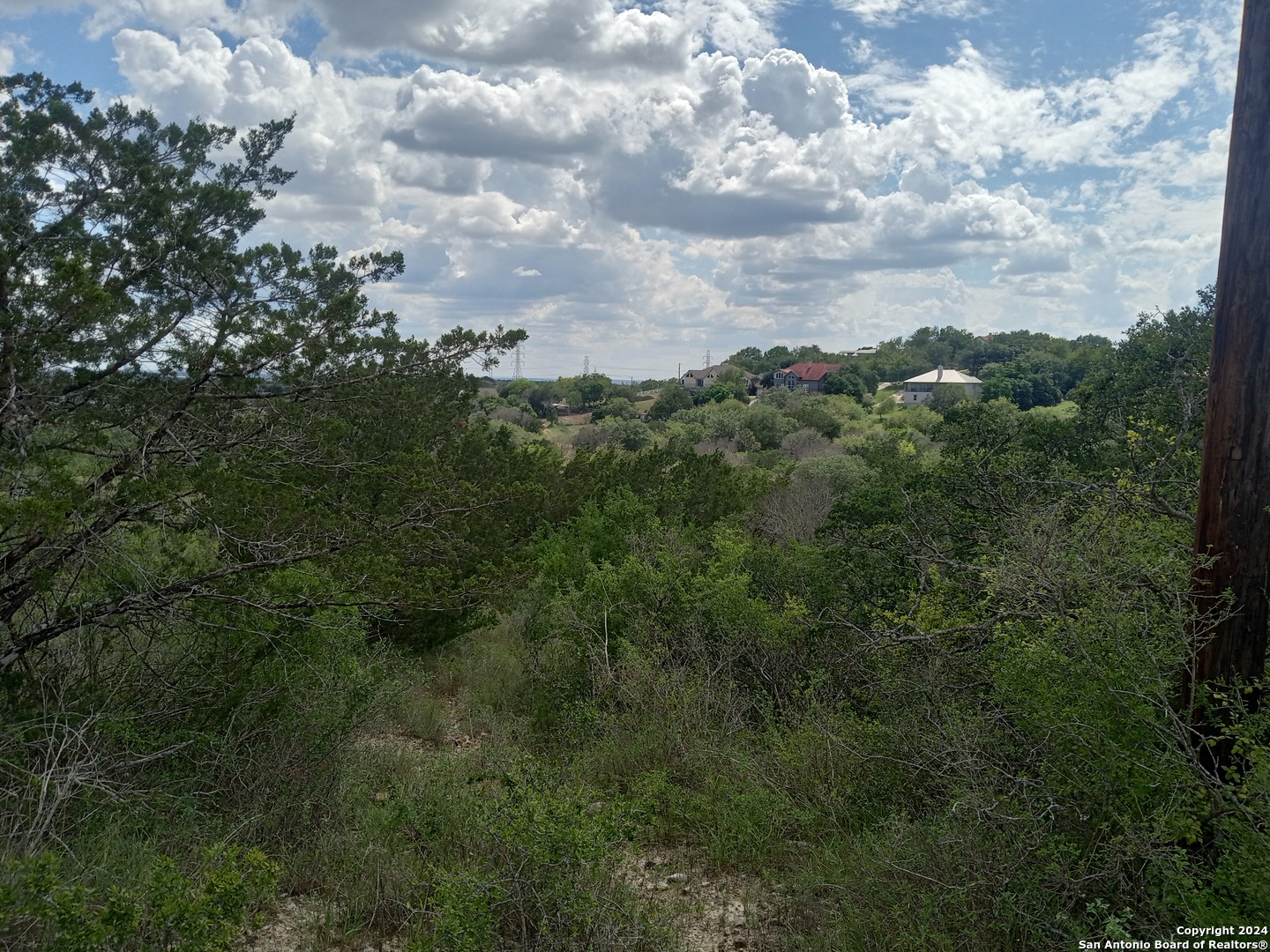 a view of a lot of trees in a field