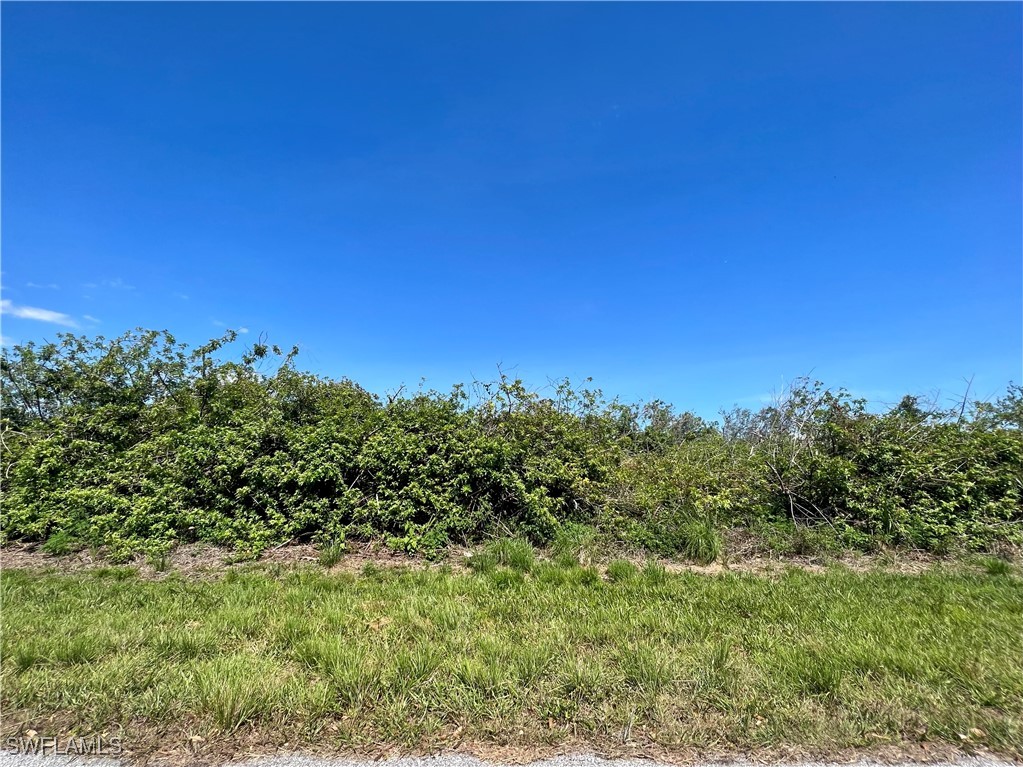 a view of a large yard with lots of bushes