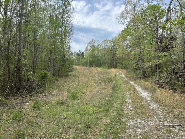 $75,000 | 1848 Kirk Trail