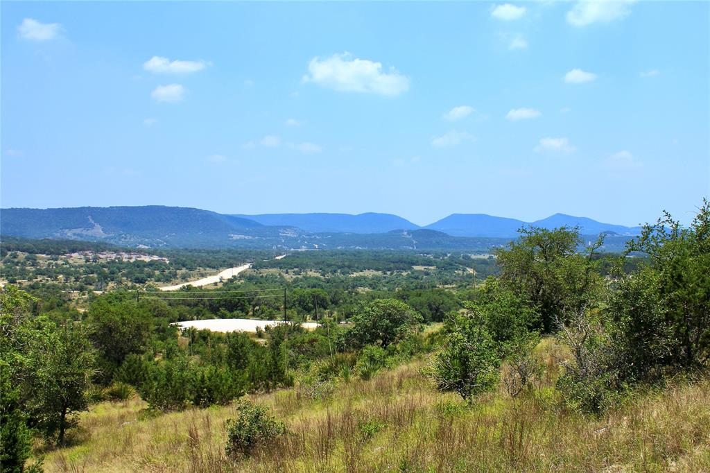 a view of a city with lush green forest