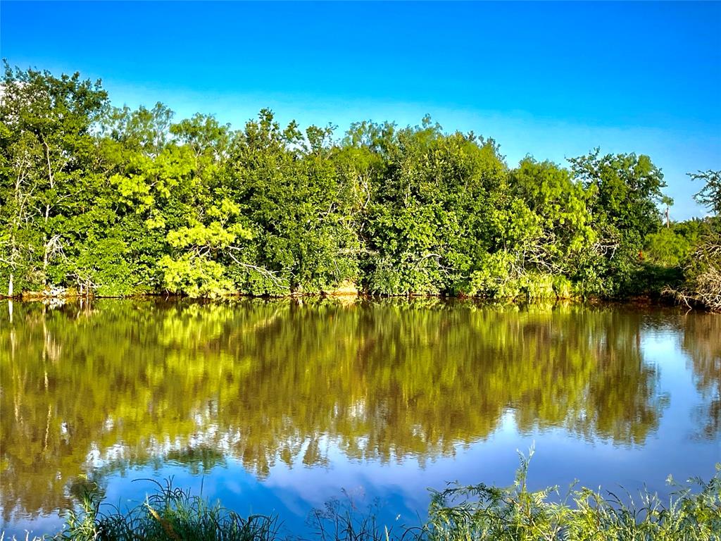 a view of lake view