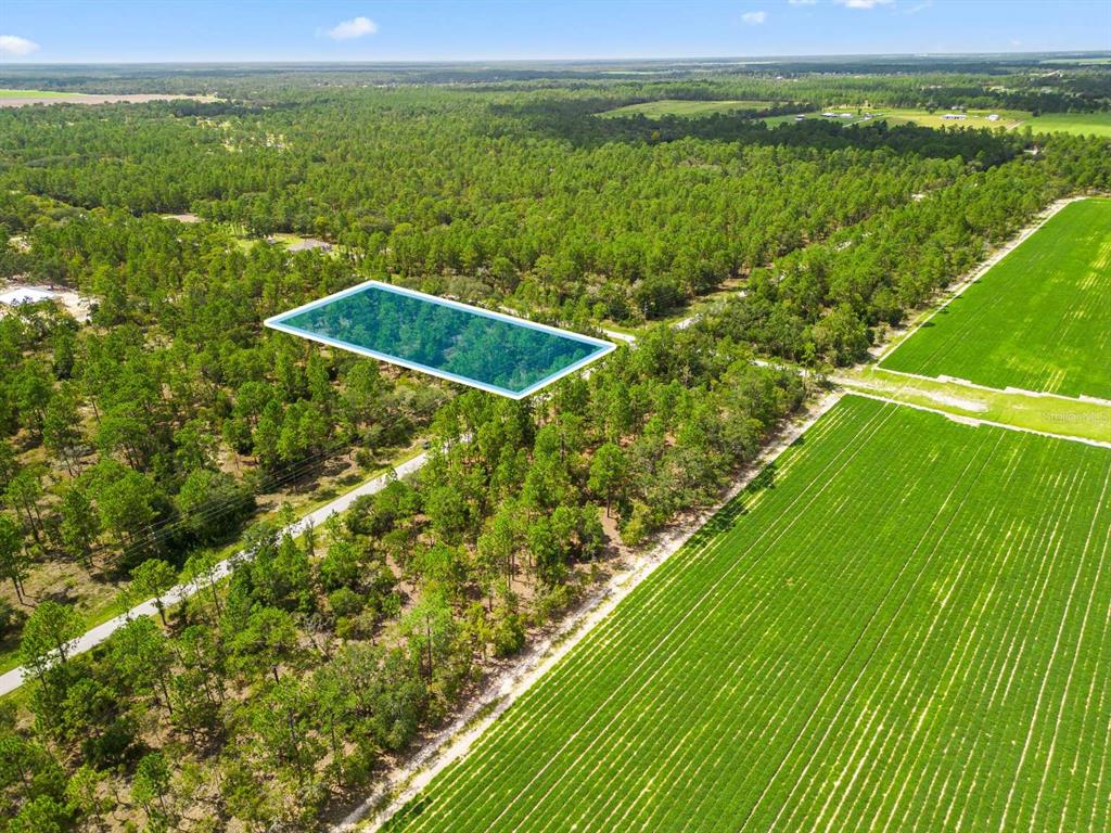 a view of a green field near an ocean