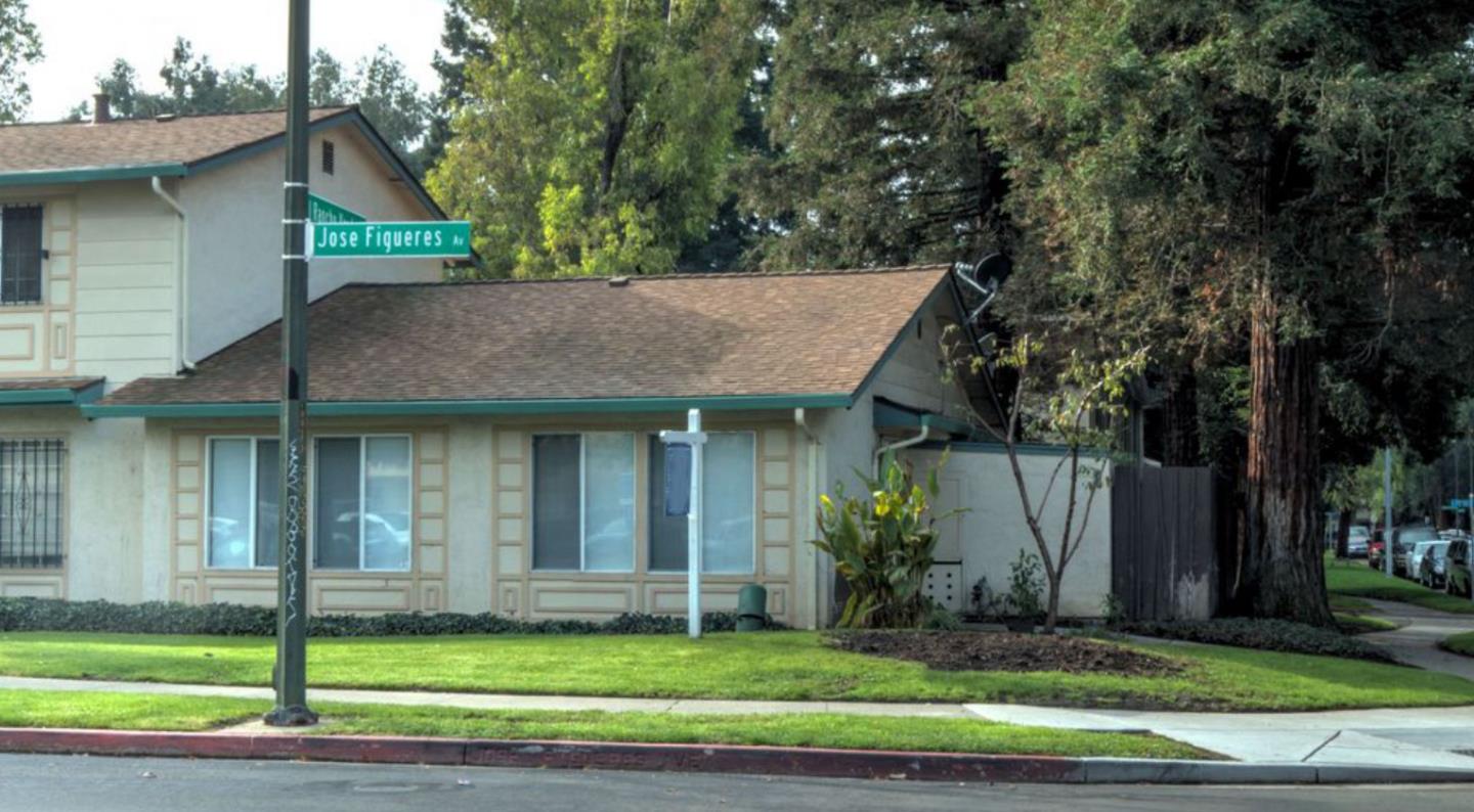 a view of a house with a yard plants and large tree