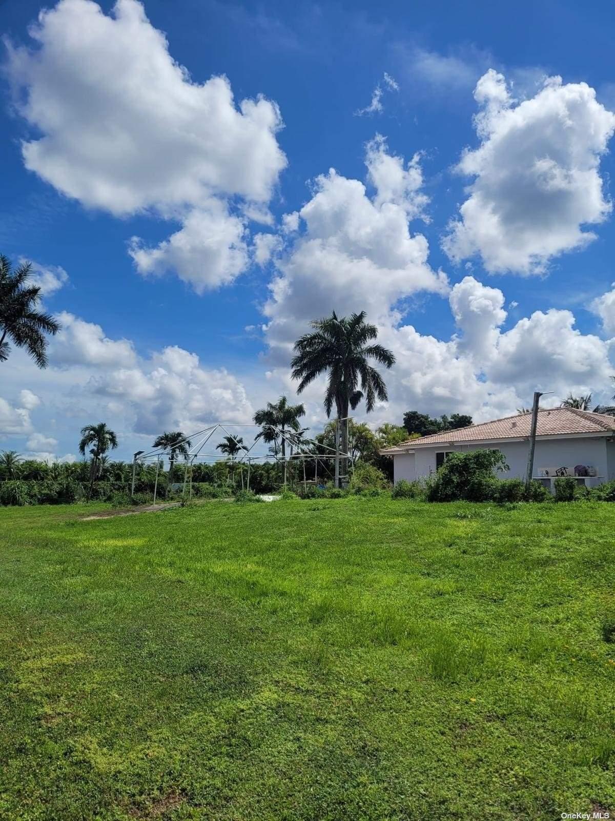 a view of a big yard with a house in the background