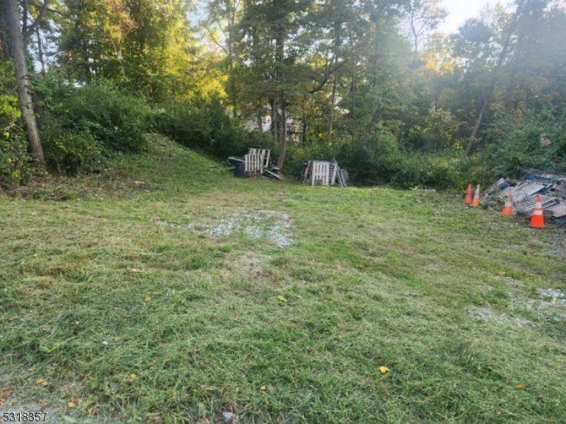 a view of a field with plants and trees