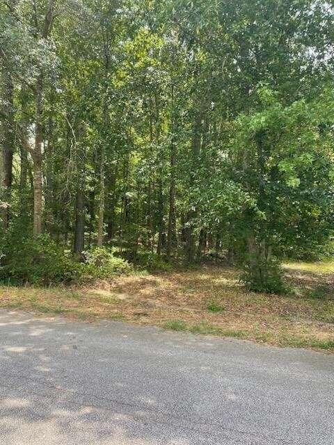 a view of a yard with a tree