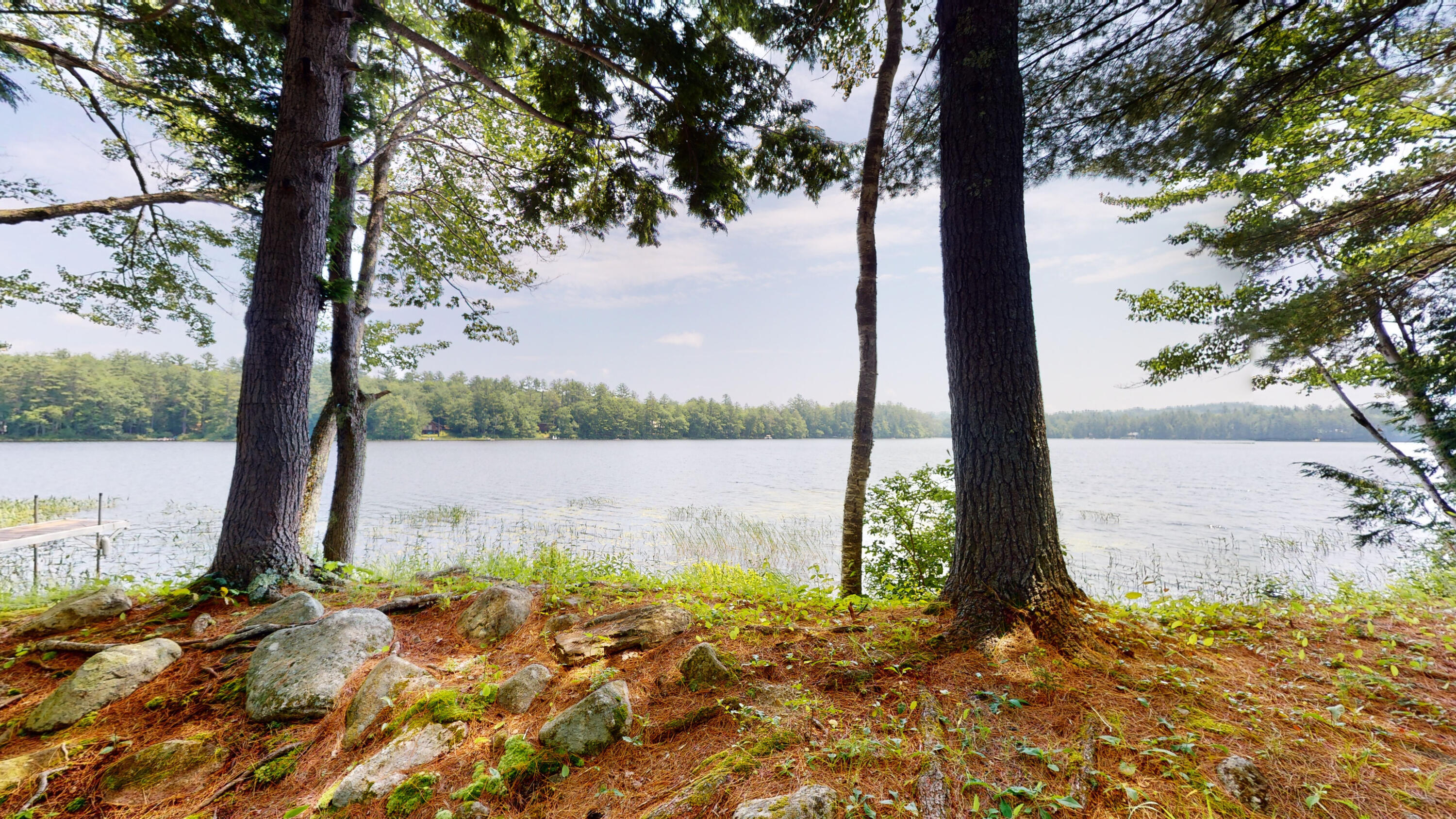 Blue Jays, Nature of the Lake