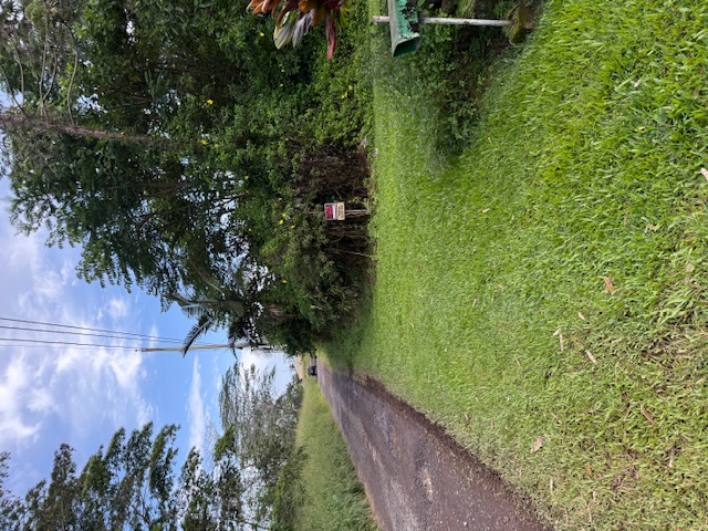 a view of an outdoor space and a yard