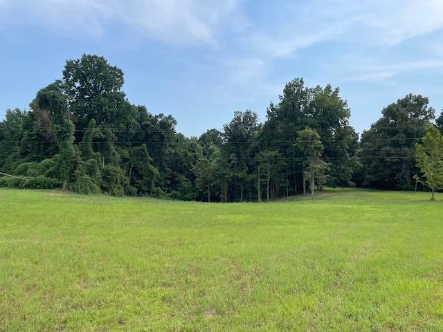 a view of a field with a trees in the background