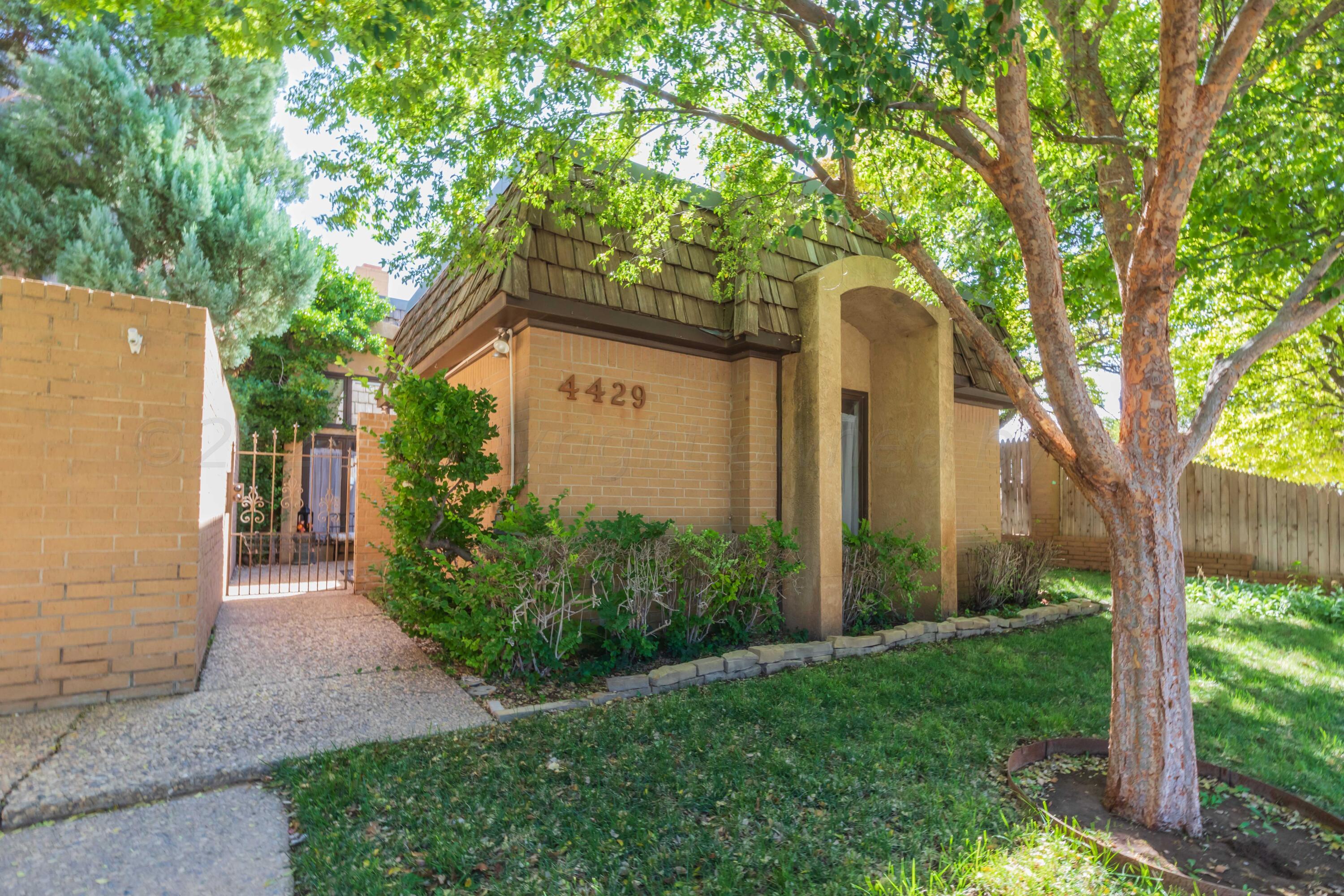 a backyard of a house with plants and large tree