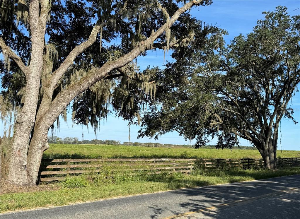 a view of a yard with an trees