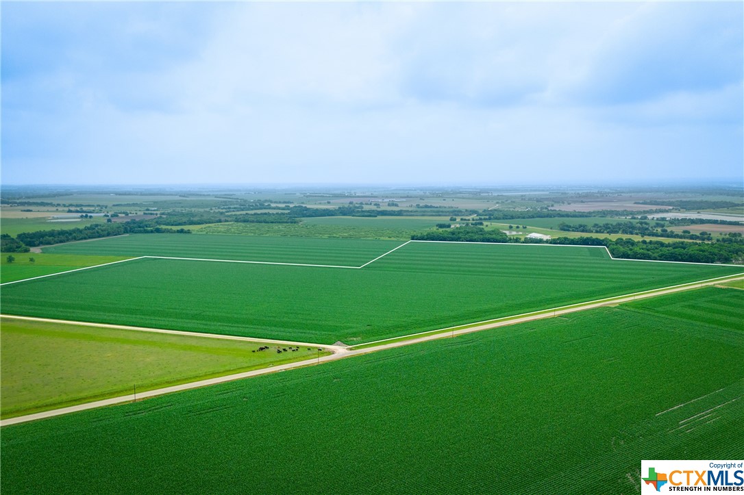 a view of a green field with clear sky