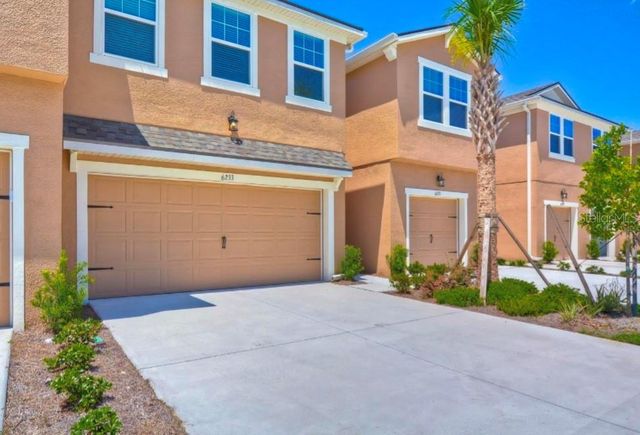 $3,000 | 6233 Scarlet Darter Way | Citrus Park