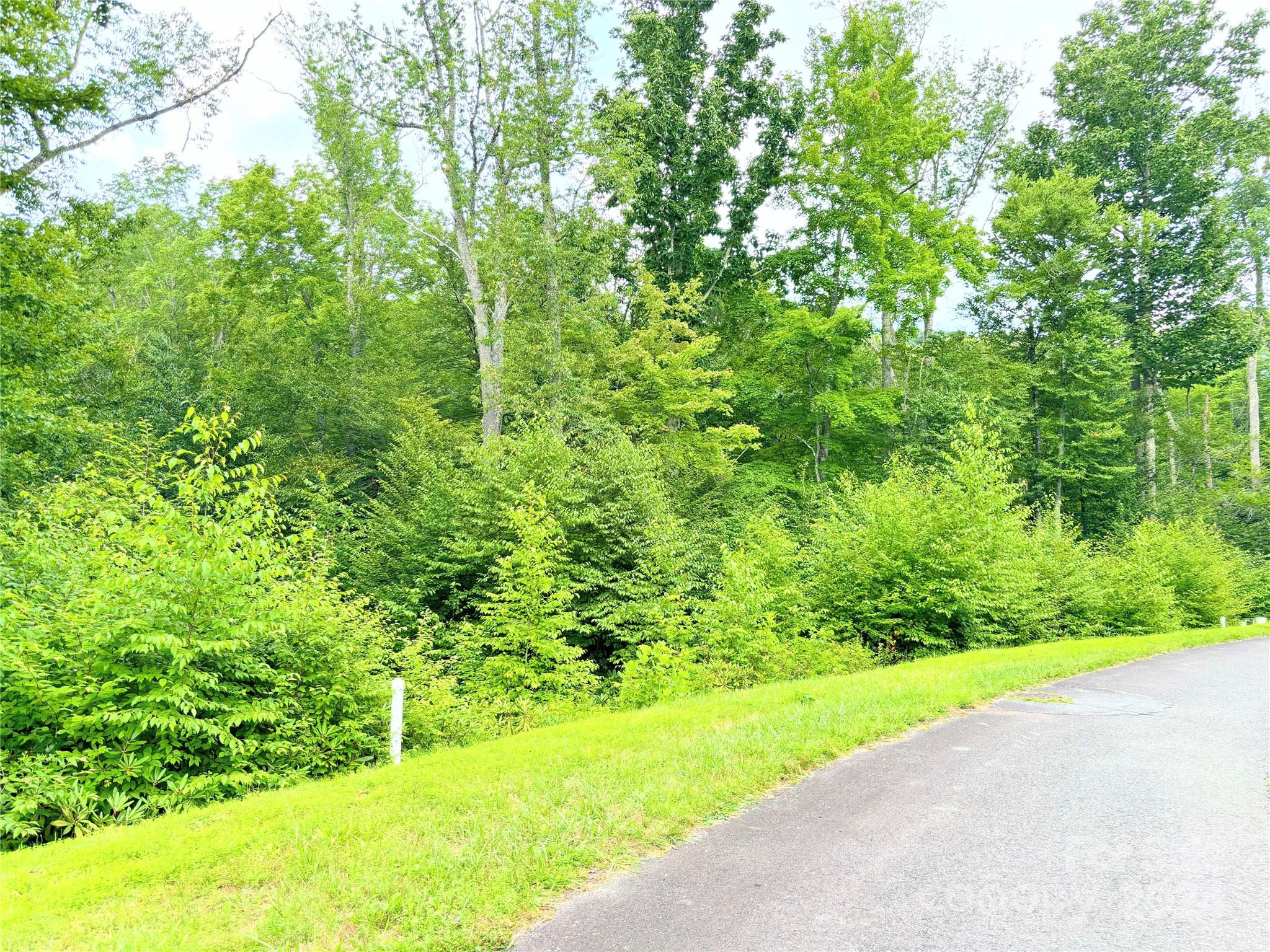 a view of a yard with a tree