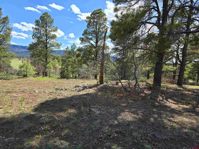 $17,000 | 484 Prospect Boulevard | Pagosa Lakes