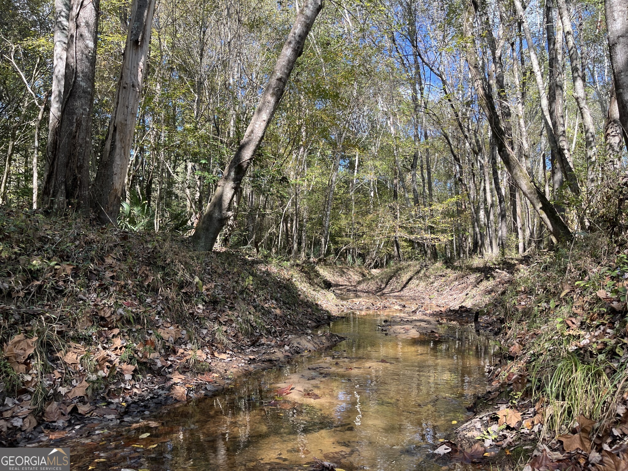 a view of water covered with trees