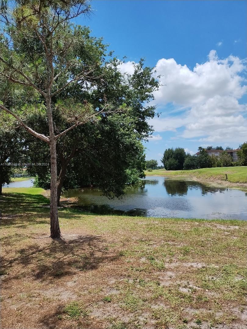 a view of a lake with houses in the background