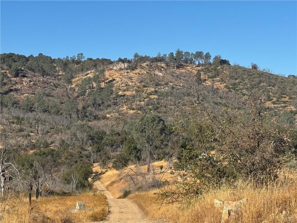 a view of a dry yard with mountains in the background