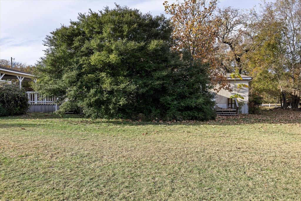 a street view with a yard