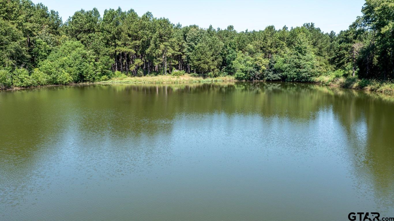 a view of a lake with a trees in the background