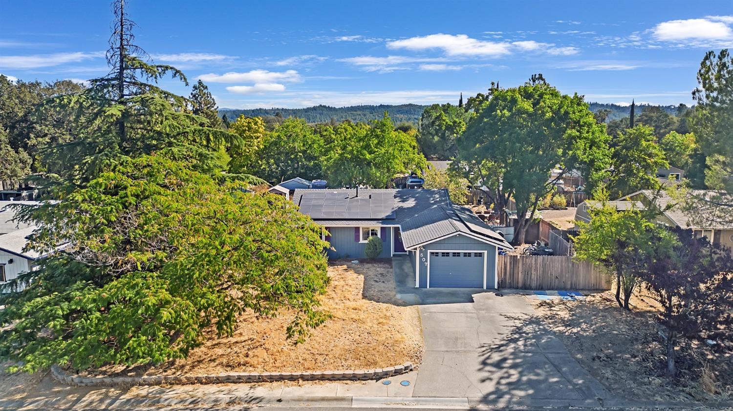 a small yard with large trees and a wooden fence