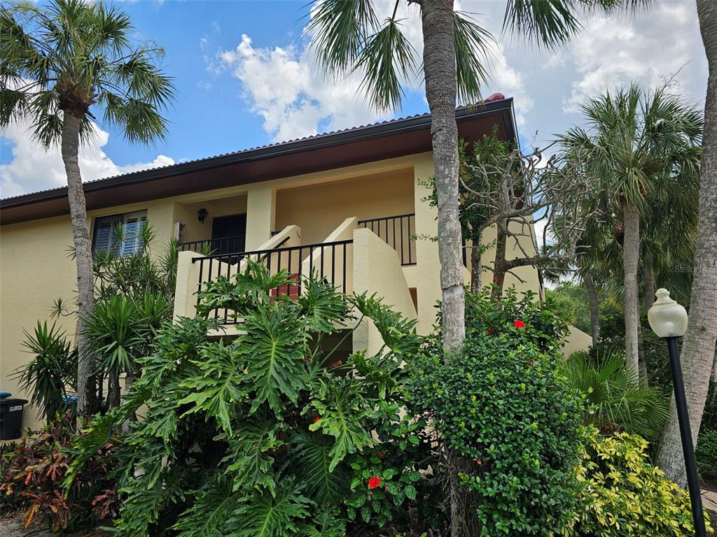 a couple of palm trees in front of house