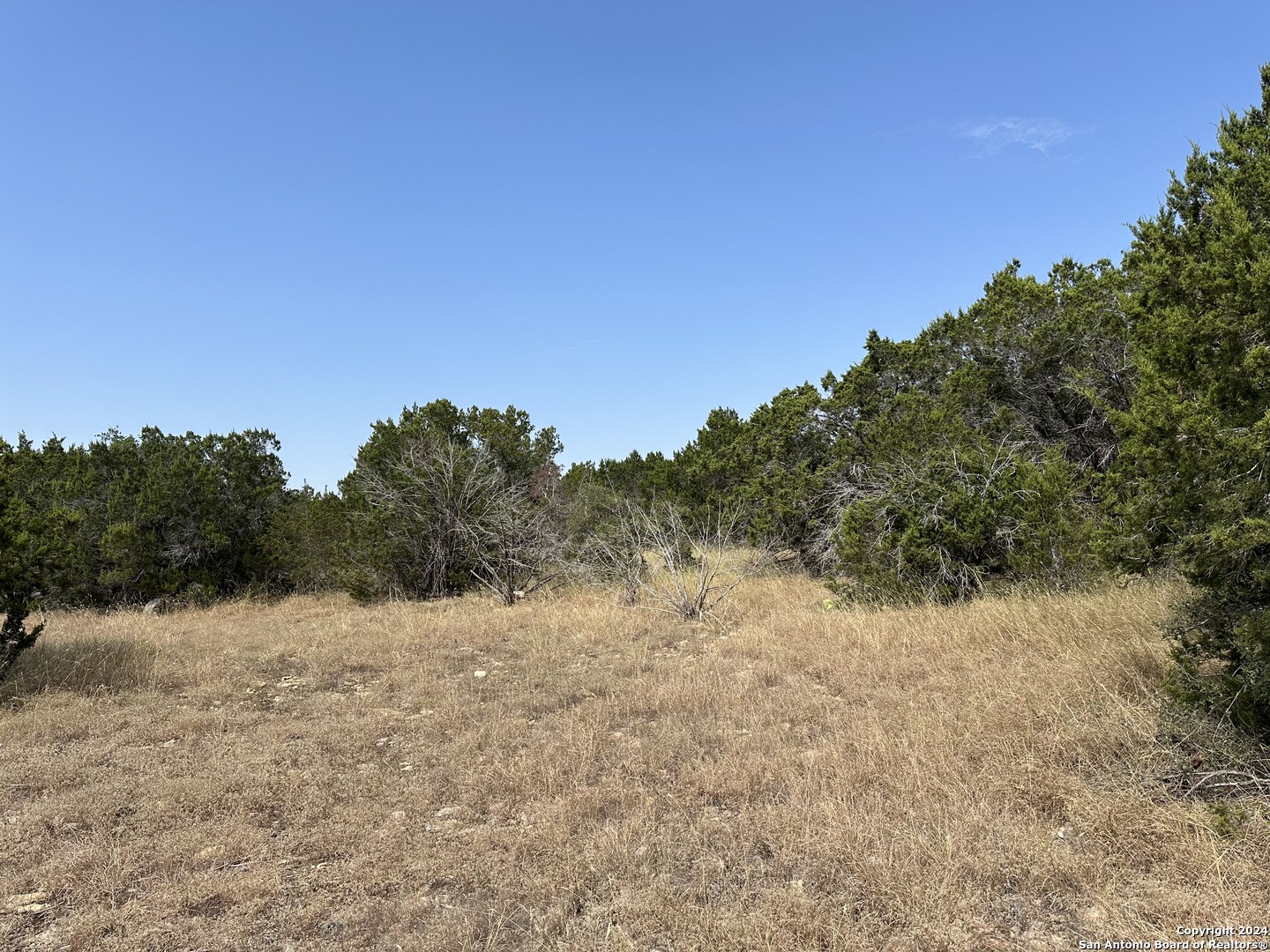 a view of a covered with trees in the background