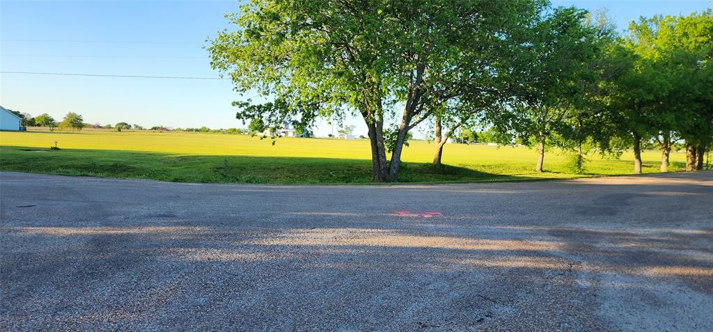 a view of road with large trees