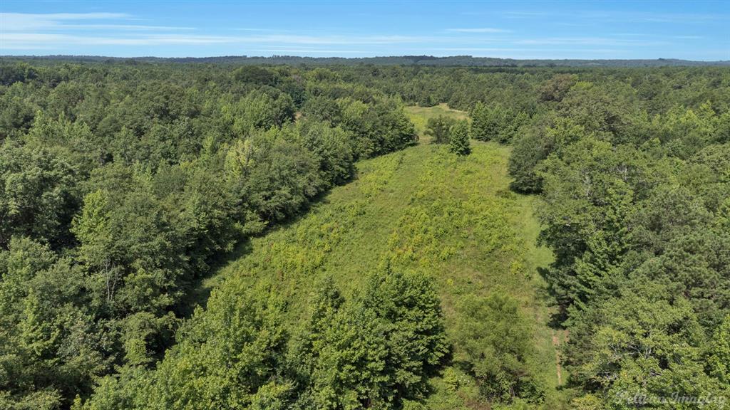 a view of a green field with lots of bushes