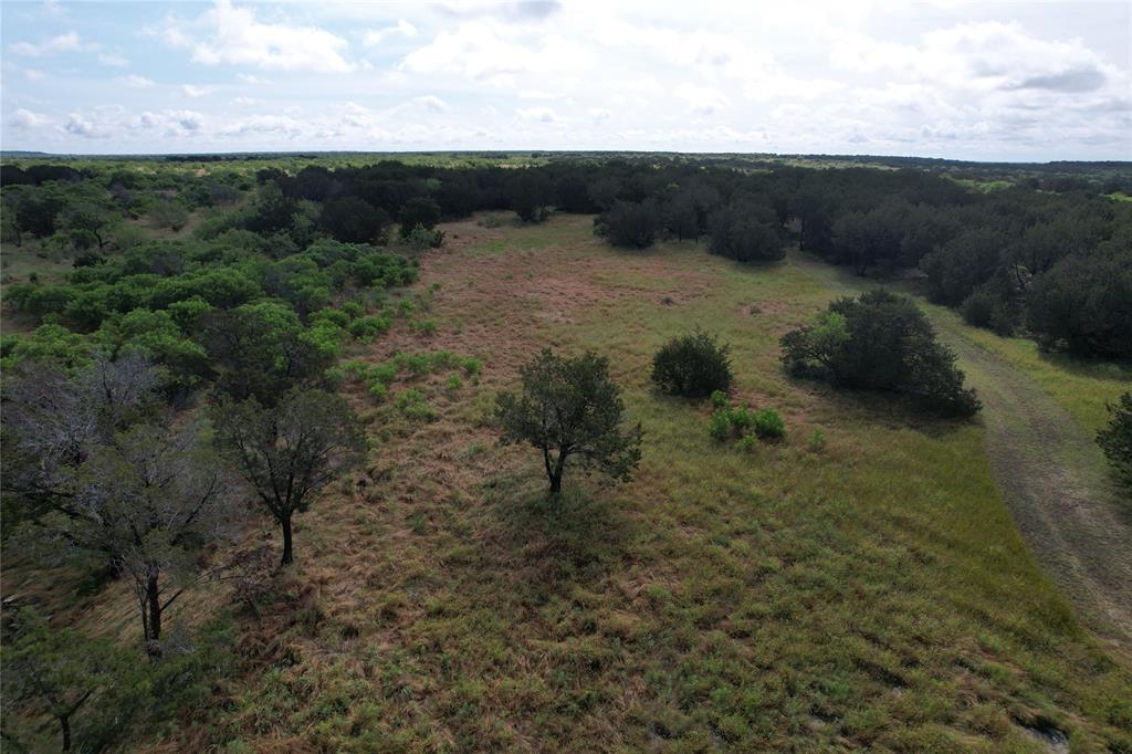 a view of a dry yard with green space