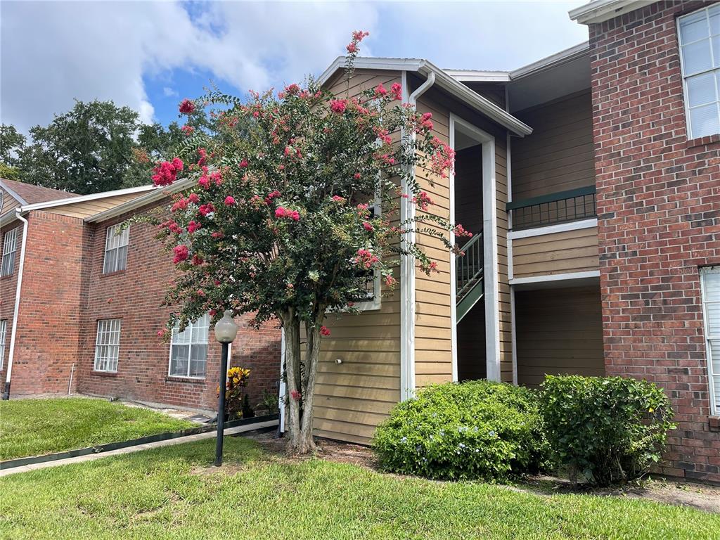 a flower plants in front of a house