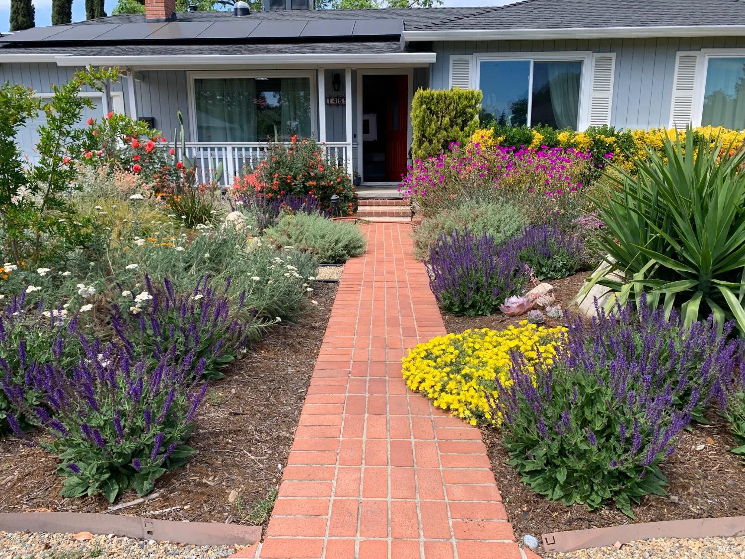 a front view of a house with a yard and potted plants