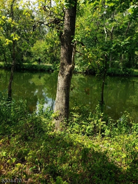 a large body of water with a tree in the middle