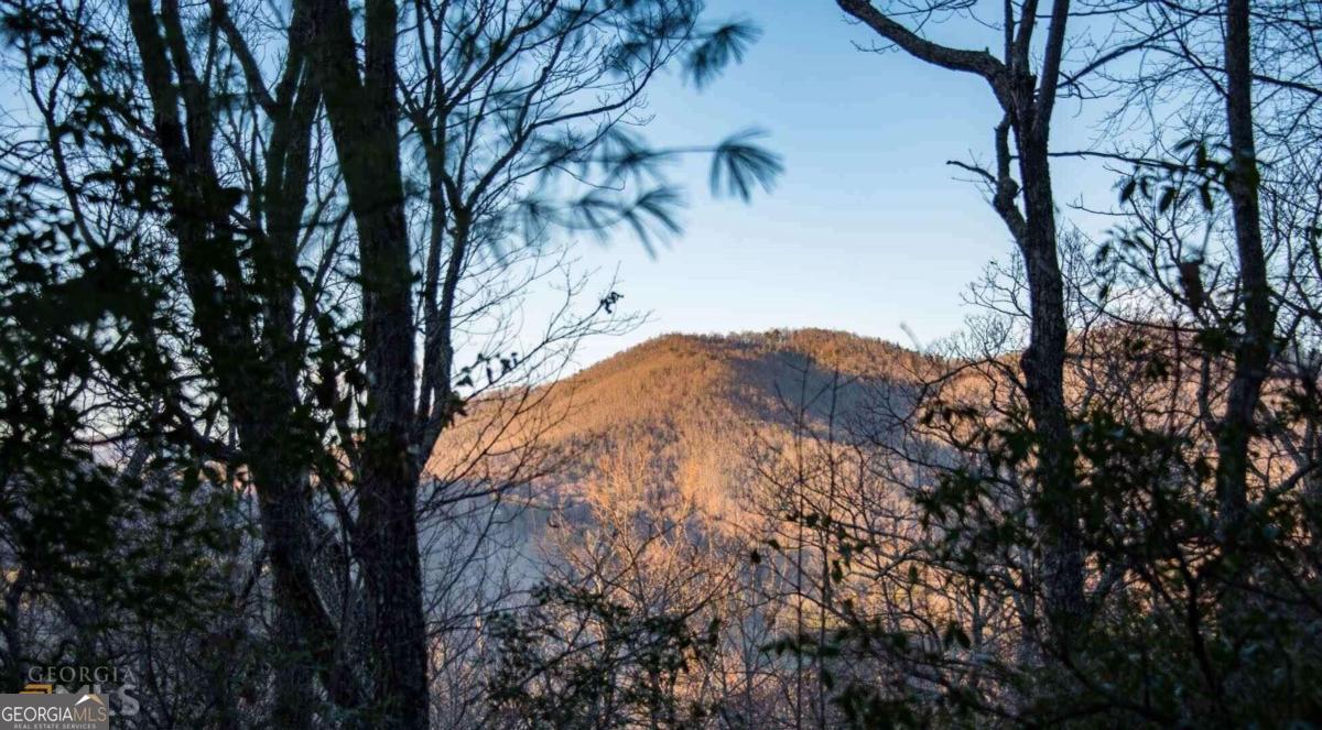 a view of mountain view with trees in the background