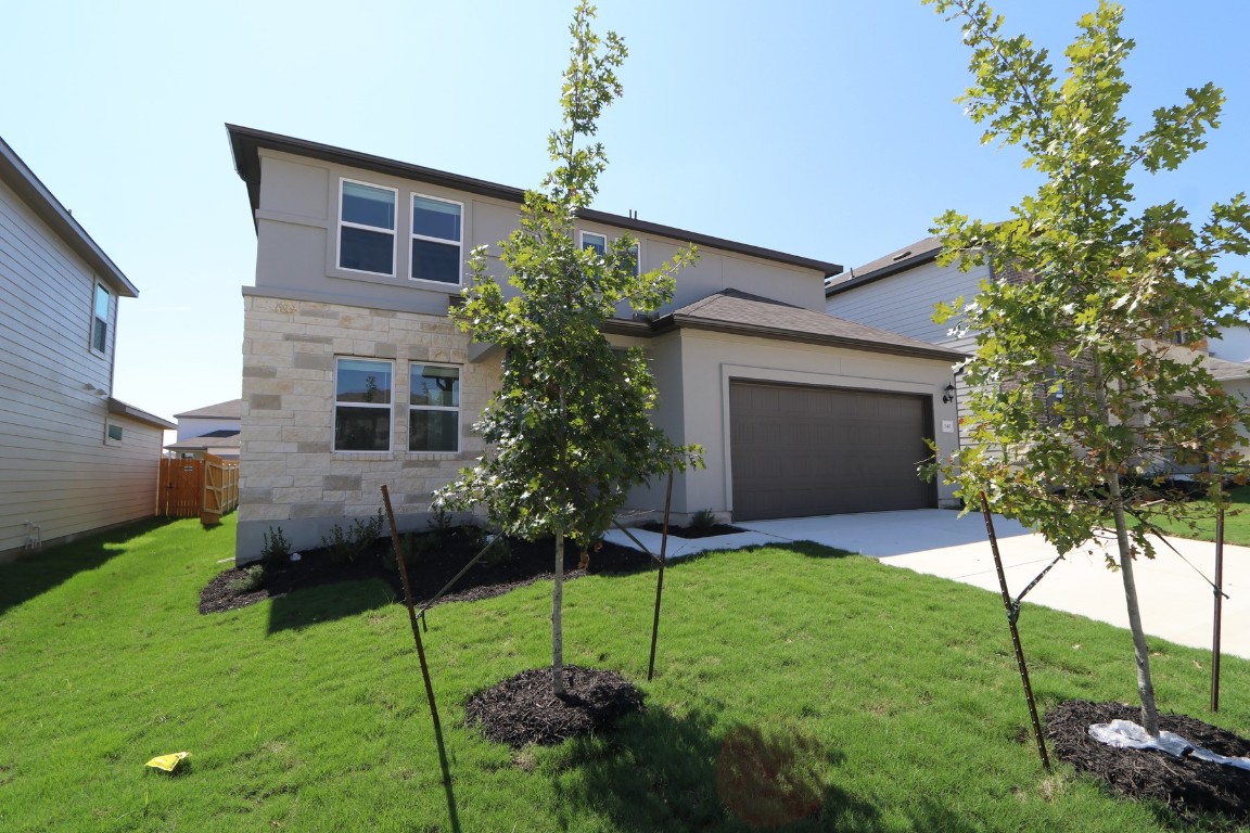 a house that has a tree in front of it