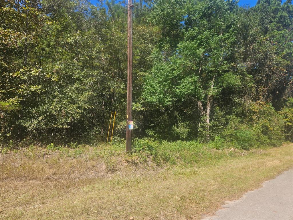 a view of outdoor space and trees