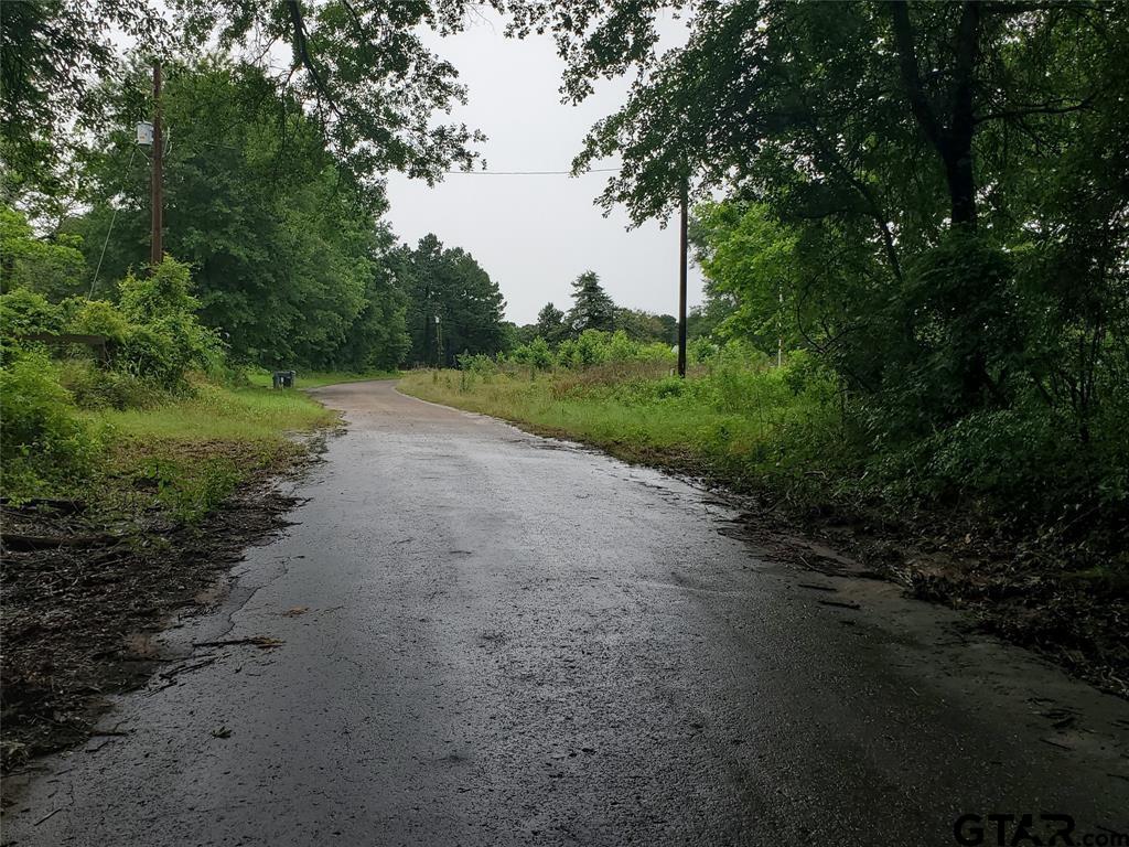 a view of a dirt road with trees in the background