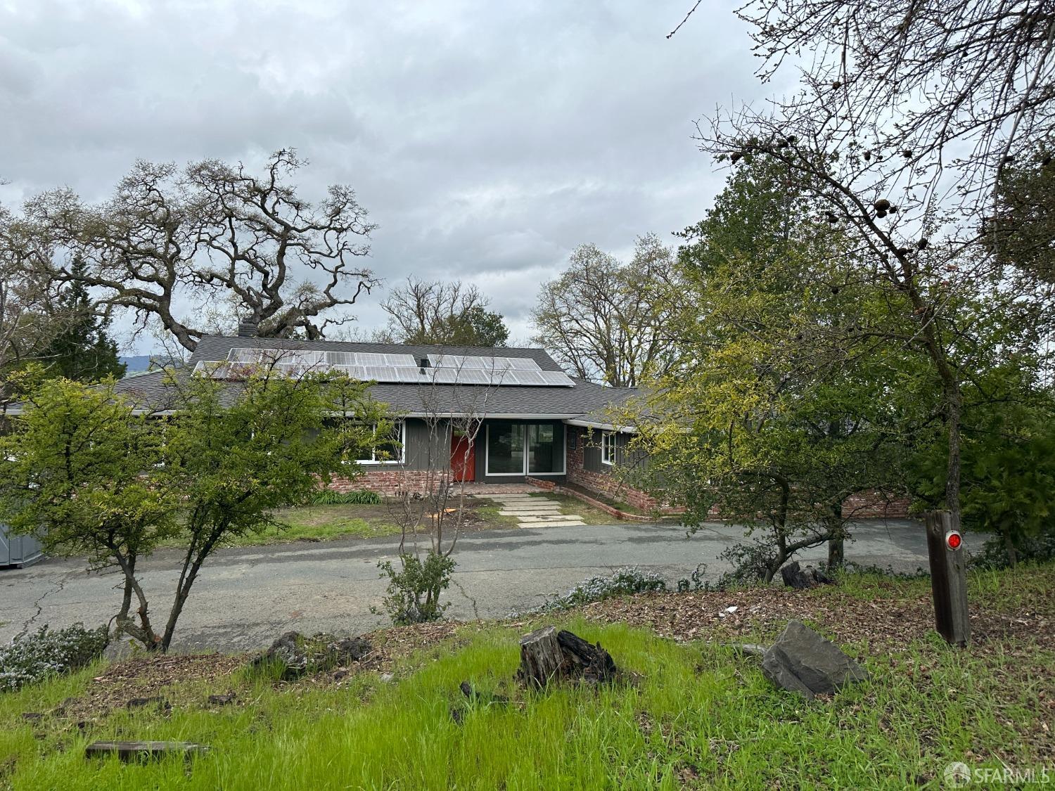 a view of a big yard with potted plants and large tree