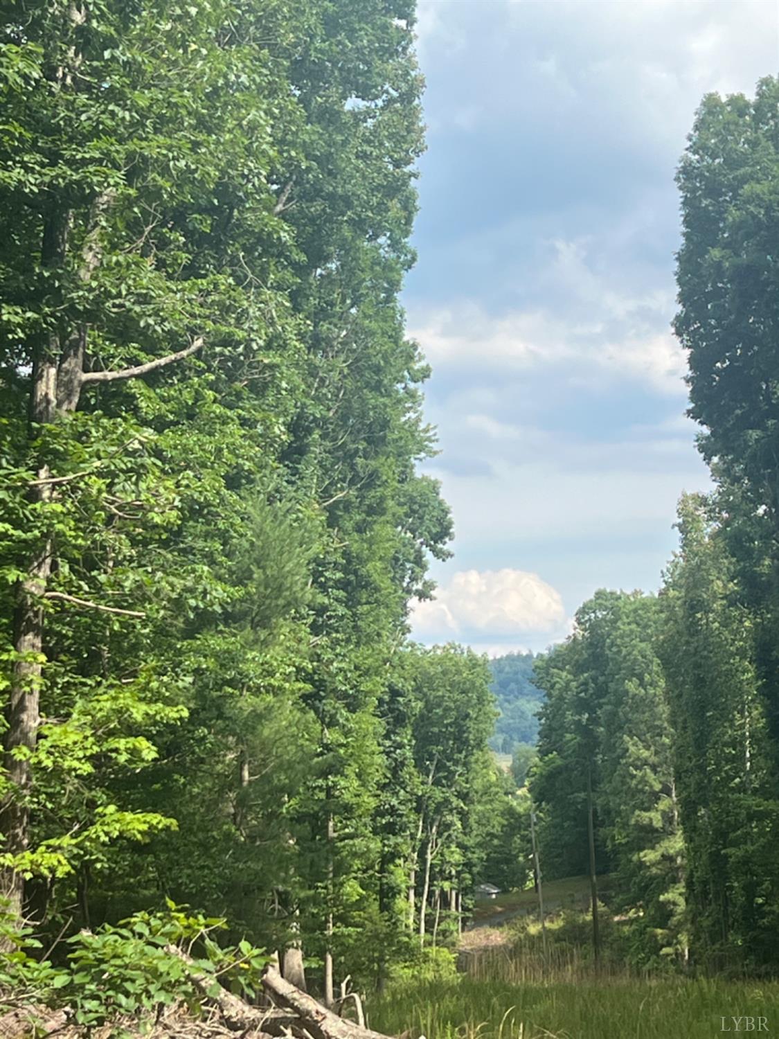 a backyard of a house with lots of trees