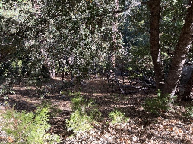 $72,000 | Idyllwild-pi Cove Ca | Idyllwild-Pine Cove