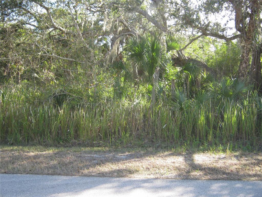 a view of a yard with large trees