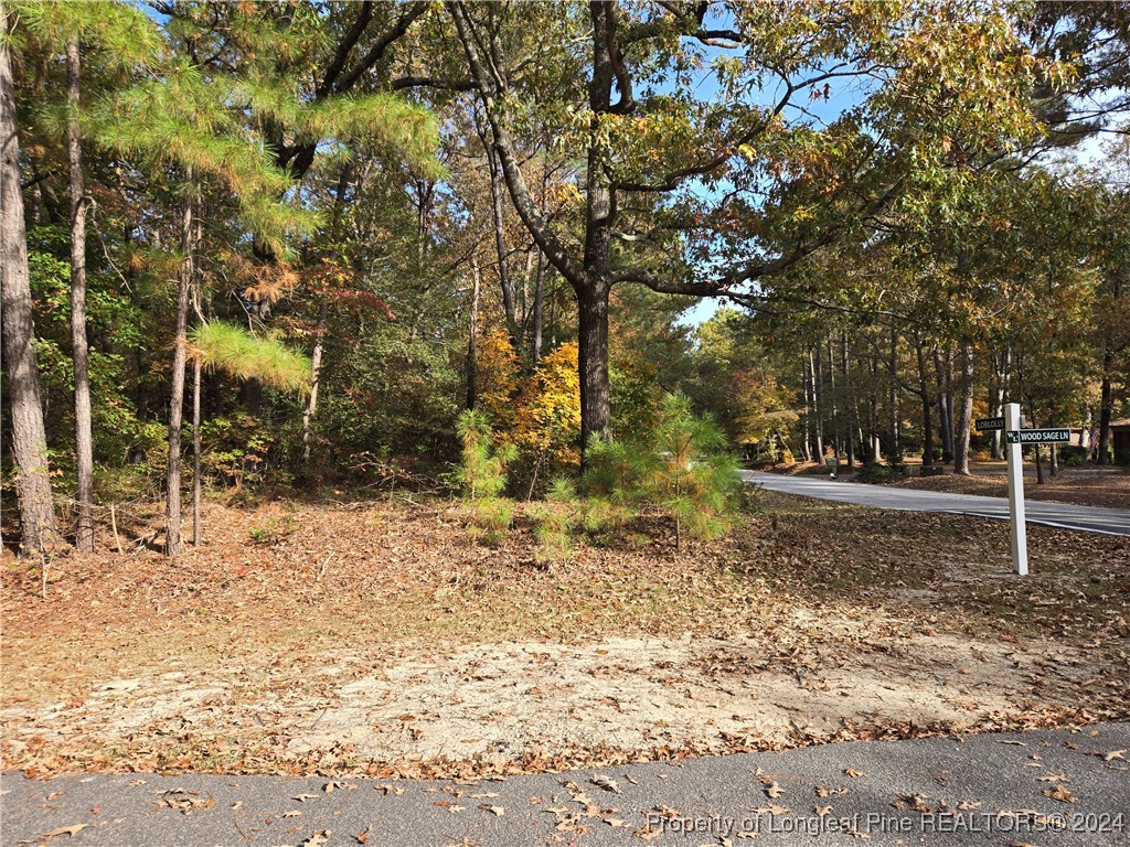 a view of road and trees