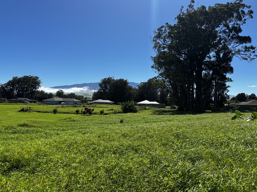 a view of a green field