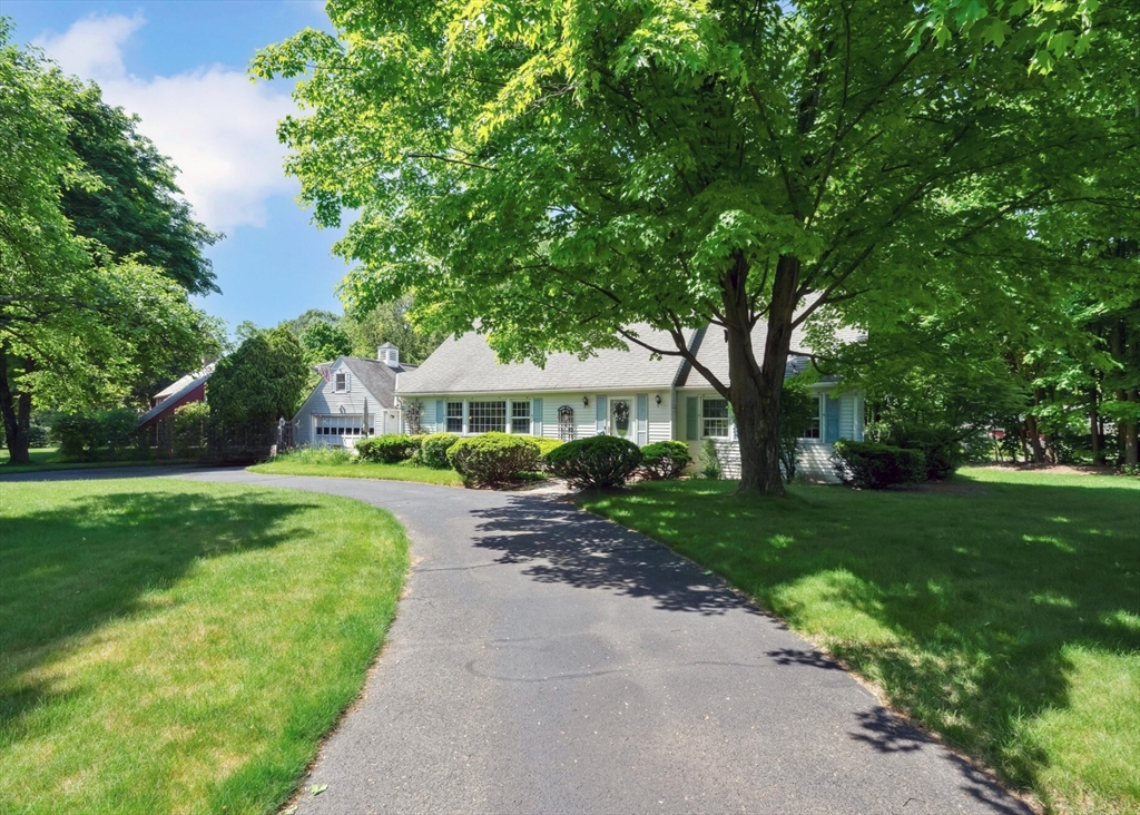 a front view of a house with yard and green space