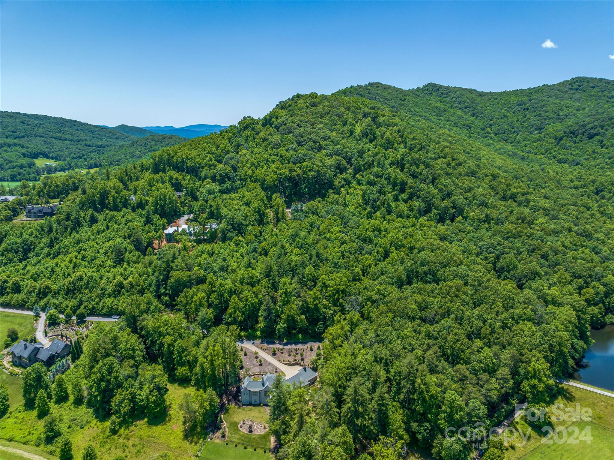 a view of a lush green forest with lots of trees