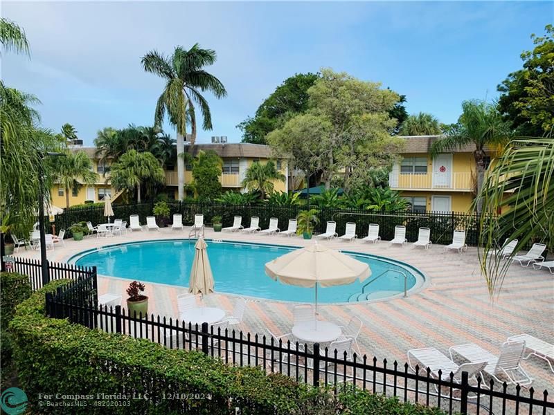 a view of a swimming pool with a patio and plants