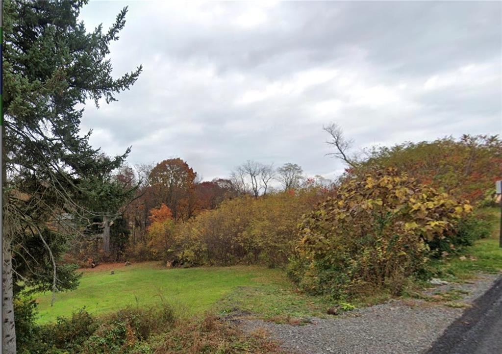 a view of a grassy field with trees in the background