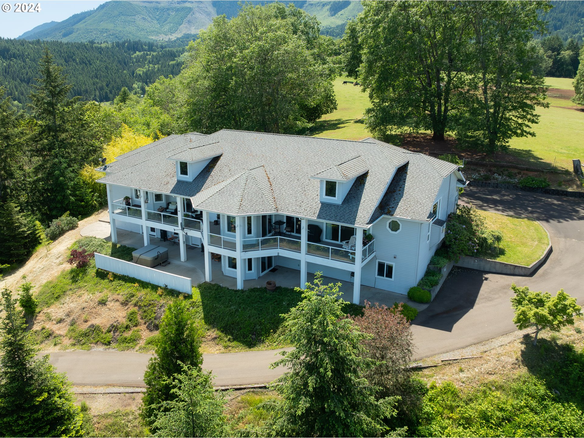 an aerial view of a house with swimming pool and large trees