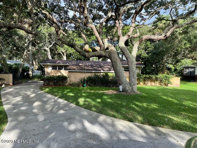 a view of a yard with large tree