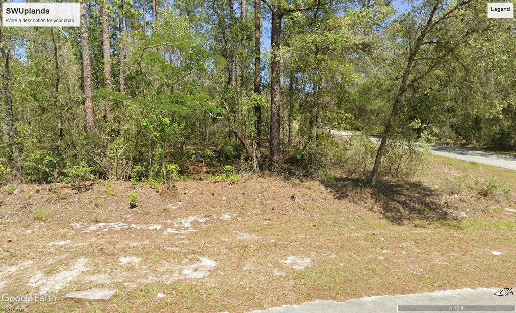 a view of a yard with trees